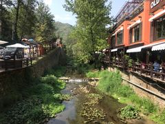 -Local泰莲庭(虹鳟鱼店)