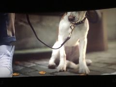 -卢米埃IMAX影城(温州万象城激光店)