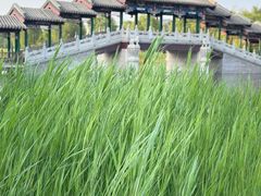 -西海子公园