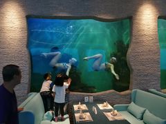 -瑞德姆美人鱼海底演艺主题餐厅(亚龙湾店)