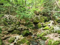 -本溪汤沟绿石谷森林公园