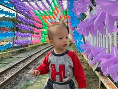 -长洲岛都市农业公园