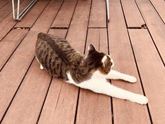 -UNIUNI(凯瑟琳广场店)