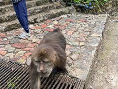 -西岭雪山大飞水景区