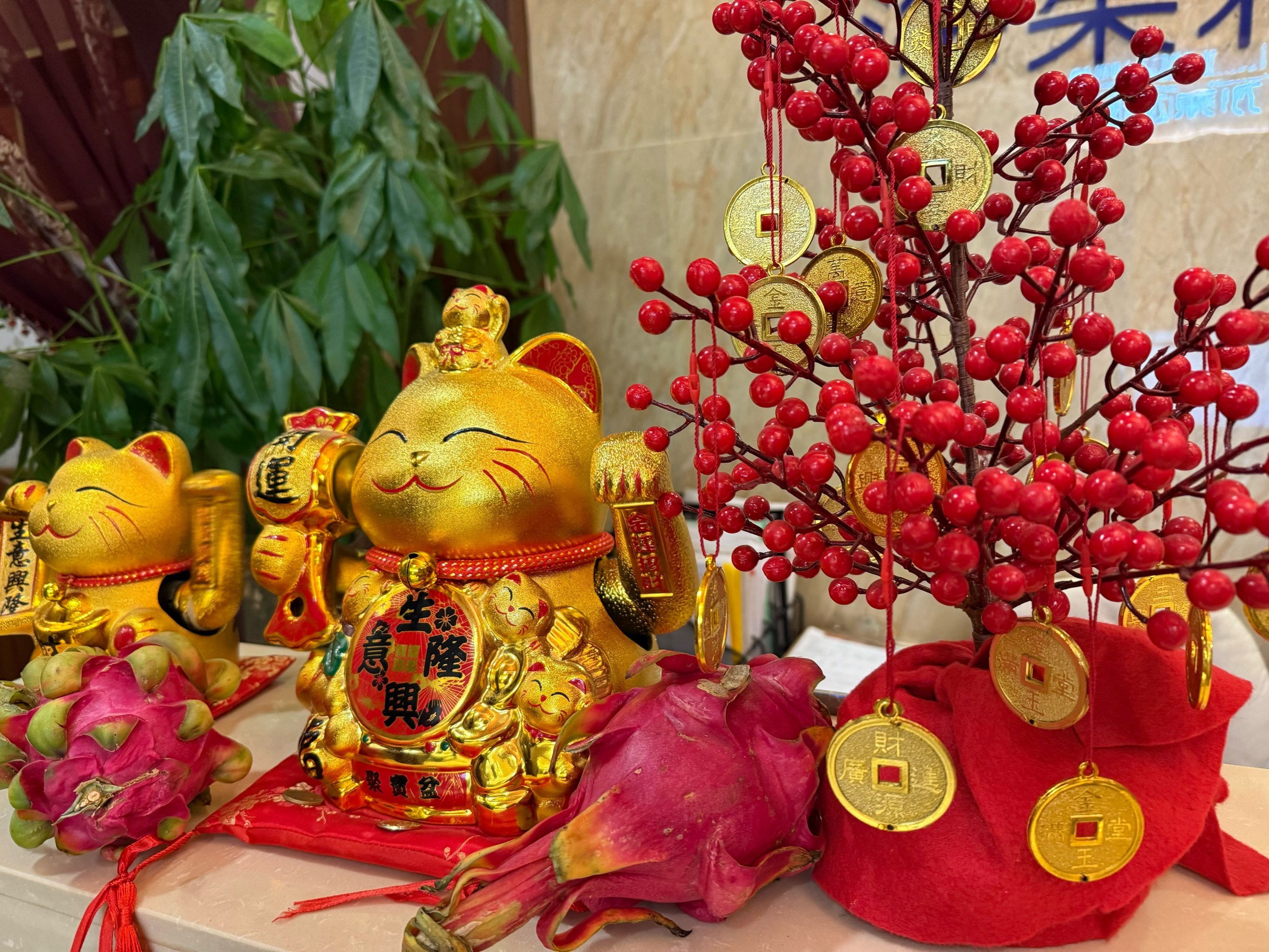 生肖运势转运阁图片欣赏(最近运气不好,怎样才能转运)