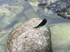 -百里峡七彩艺术小镇