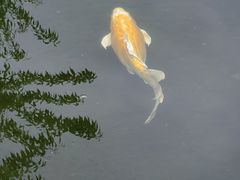 -三里河公园
