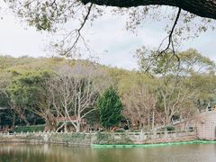 -普陀山慧济禅寺