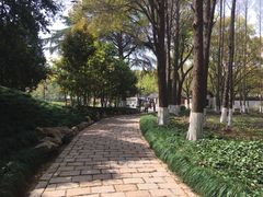 -瀛洲公园
