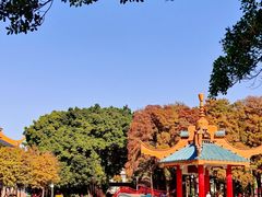 -金砂公园