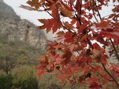 -孤山寨风景区