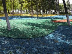 -大兴滨河森林公园