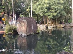 -海口火山口国家地质公园