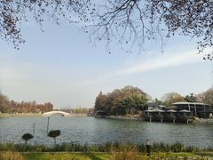 -东湖落雁景区