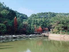 -广州市帽峰山景区
