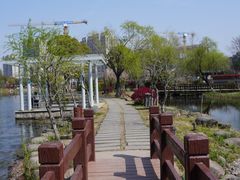 -海天湖公园