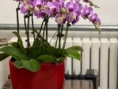 -三旗百汇商品城