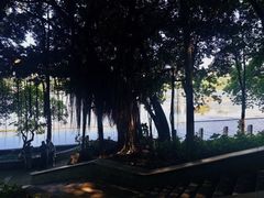 -南宁南湖公园