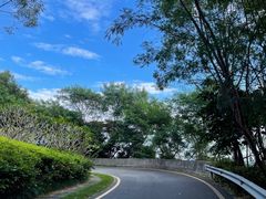 -小南山公园