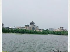 -莲花池公园
