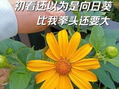 -广东天露山旅游度假区