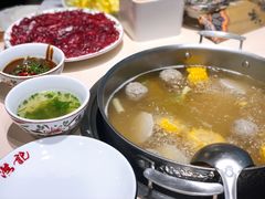 手锤牛筋丸锅底-汕头八合里海记牛肉店(清河店)
