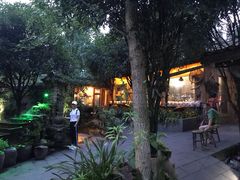 -青城甲(青城山店)