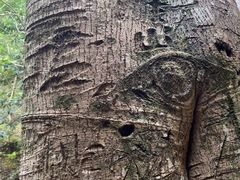 -雁荡山三折瀑景区