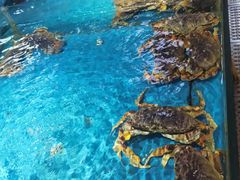 -宝燕海鲜(好爱店)