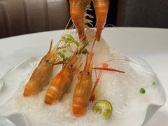 -荟廷·晶萃(陆家嘴尚悦湾店)