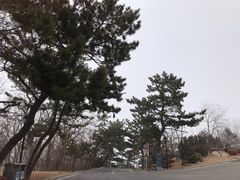 -棒棰岛宾馆景区