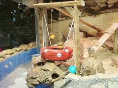 -正佳雨林生态植物园