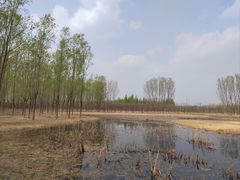-东郊湿地公园