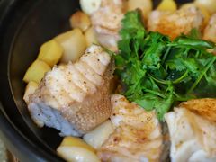 姜粉焗龙趸-彩蝶谷美食廊·粤式经典南番顺·铁板烧烤泰风味(广州长隆酒店)