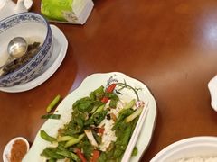 -杨记新泉美食