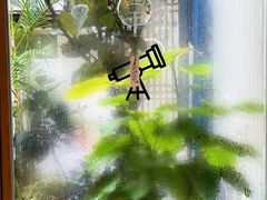 -素咫咖啡CLIFEROSE