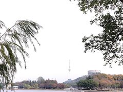 -月湖风景区