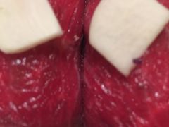 牛肉-萨拉伯尔水源素问店·韩国宫廷料理(人民路店)