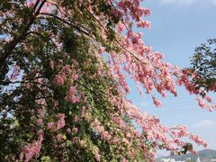 -中国移动南方基地