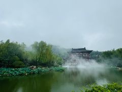 -西安国际创新人才交流中心•药浴温泉