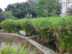 -成都市活水公园