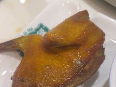 -大鸽饭(马王堆店)