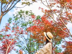 -广州市帽峰山景区