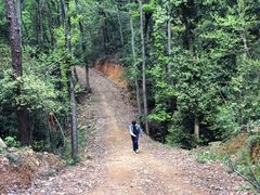 -青龙山国家森林公园
