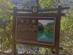 -石台牯牛降景区