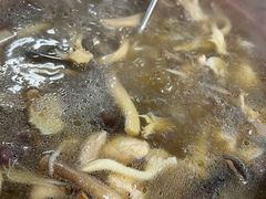 -阿山卓·野生菌火锅·纳西火塘烤肉