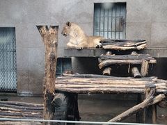 -西安秦岭野生动物园
