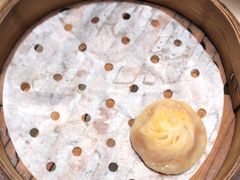 -假装苏杭·迎春花与梅(陆家嘴中心店)