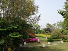 -上海崇明金茂凯悦酒店
