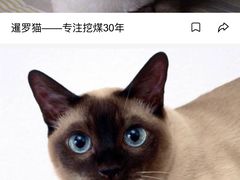 -沈妈砂锅(光华村店)